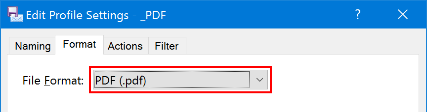 Select PDF Format